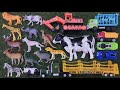 WOW KEREN KERANJANG MAINAN PENUH MOBILAN, DINOSAURUS, BABI, GAJAH, BEBEK, SAPI, KUCING, ORANG UTAN