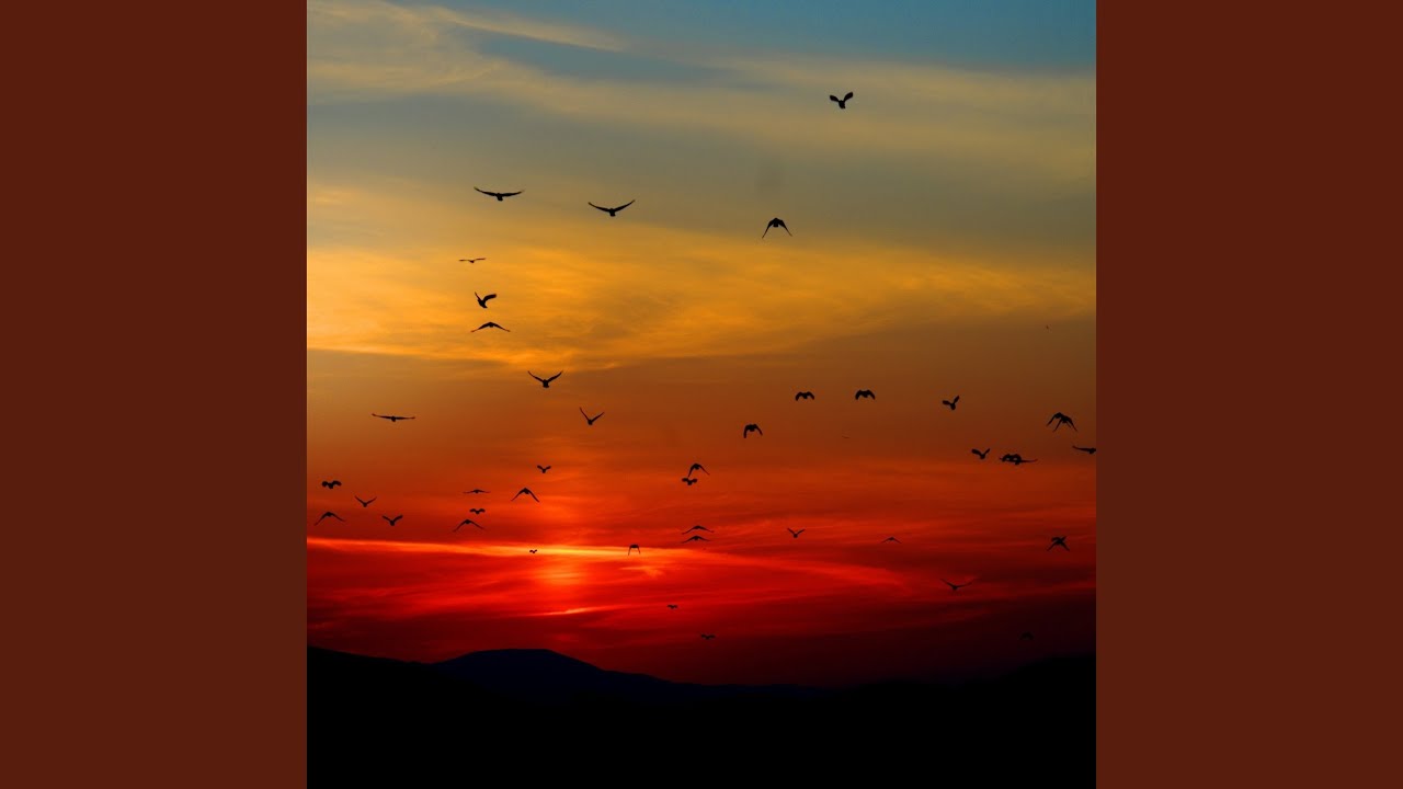 Rain Outside (Relax Inside)