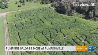 Pumpkins Galore & More At Pumpkinville