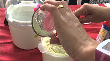 Como fazer iogurte grego na Iogurteira elétrica?
