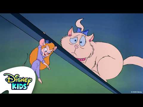 La fortuna finisce qui | Cip e Ciop Agenti Speciali S1 E20 | Episodio Completo | @DisneyKidsIT