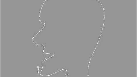 Amiga Real3D Tutorial 6.1.6