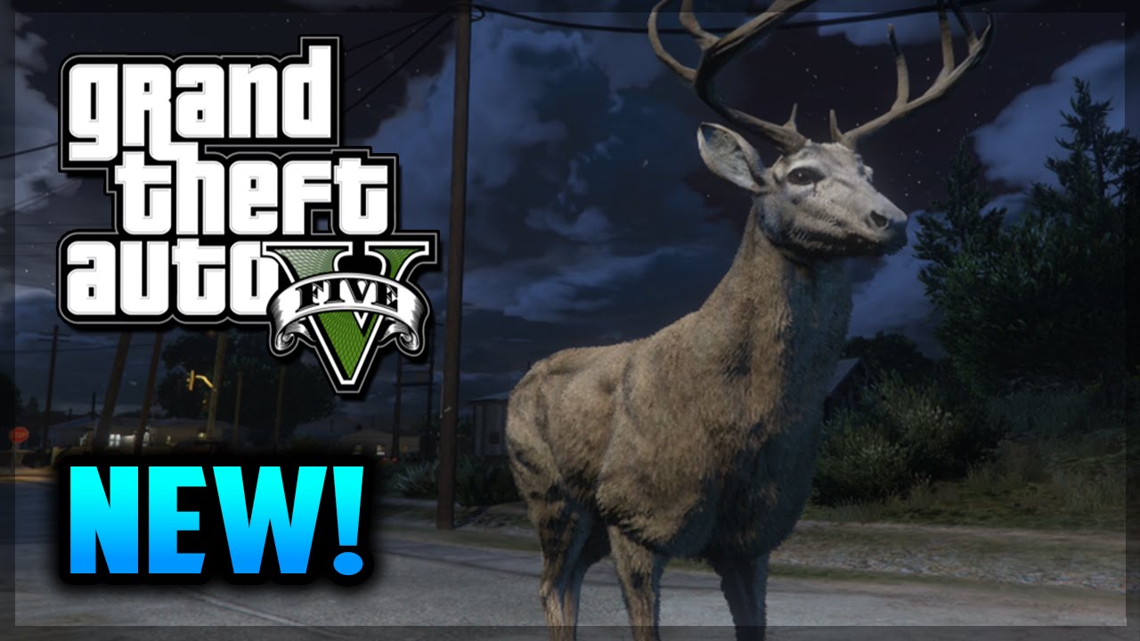 GTA 5 PS4 - Playing As Animals! Lions, Cats, & MORE! (GTA 5 Gameplay) dlcl stanford