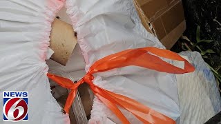 Orange County community blames garbage truck for fly problem