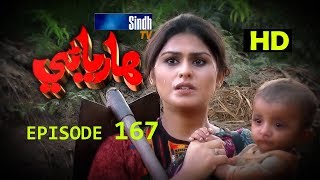 Hareyani Ep 167 -Sindh TV Soap Serial  - 16-1-2018 - HD1080p -SindhTVHD-Drama