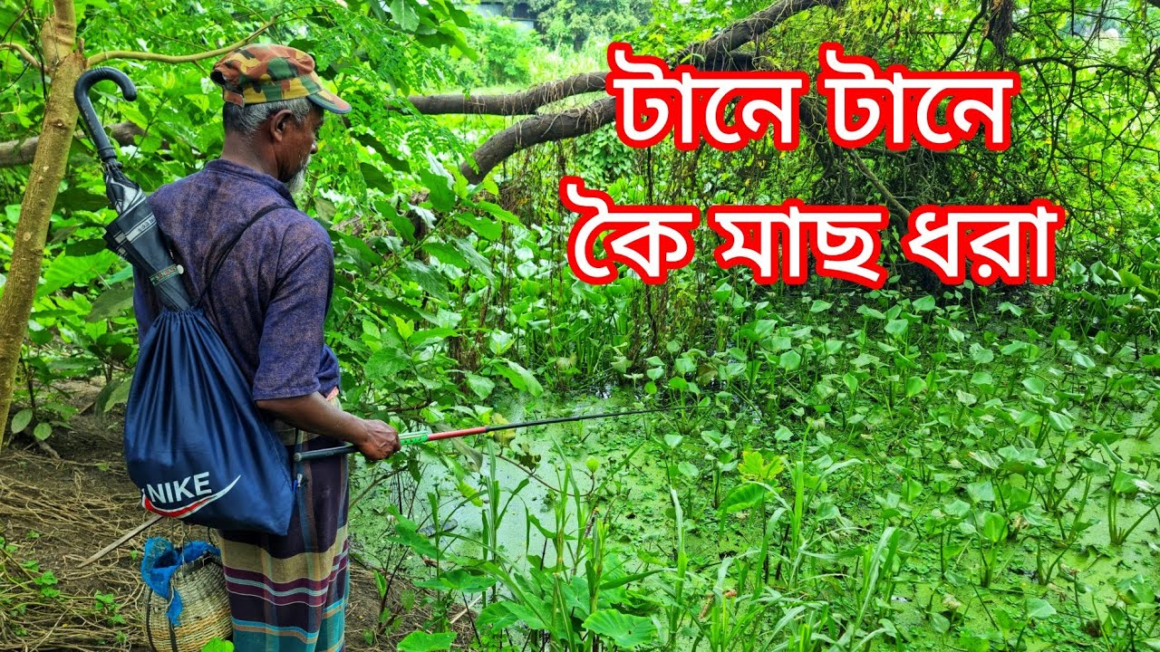 জাদুকরী টোপ দিয়ে কৈ মাছ ধরা 🎣🎣 গাজনার বিলে কৈ মাছ শিকার 🐟🎣🎣 Fishing video | Fishing BD Fast Tv 