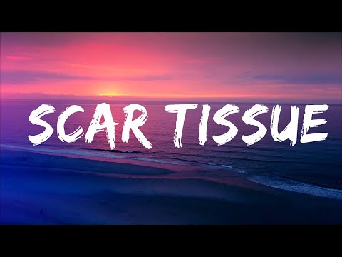 Red Hot Chili Peppers - Scar Tissue (Lyrics) Lyrics Video