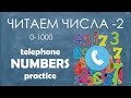 Intermediate Russian: Practice with Numbers-2: Listening for Telephone Numbers