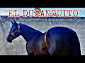 EL DURANGUITO(historias de carril)