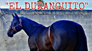 EL DURANGUITO(historias de carril)