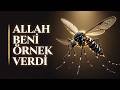 Tanrılarınızın Gücü Yetiyorsa Sinek Yaratsın!