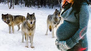 Дикие волки спасли беременную девушку зимой.  То, что произошло, кажется невероятным