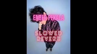 Ender Pekala Slowed Reverb Resimi