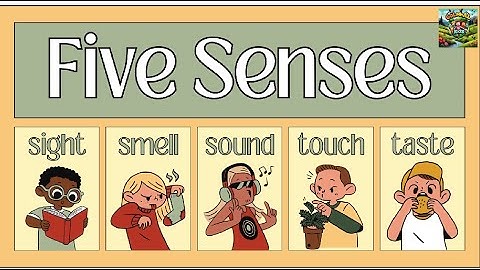The 5 Senses 👀👂👃👅🖐 | How We Experience the World! #fivesenses #educationalvideos