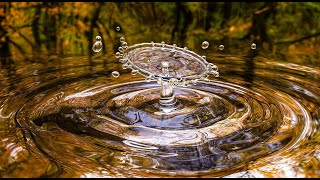 Relax, Unwind and Rejuvenate with Soothing Soundscapes.