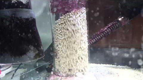 Bio pellets tumbling too fast??