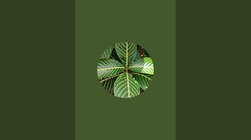 Can you solve this math riddle before time runs out? ⏳🧠 #MathPuzzleLive #BrainTeaser #LogicChallenge