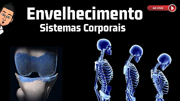 Quais os impactos do envelhecimento no sistema Músculo-esquelético?