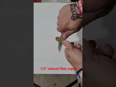 Boker Plus Fire Ant Initial Edge Test!    