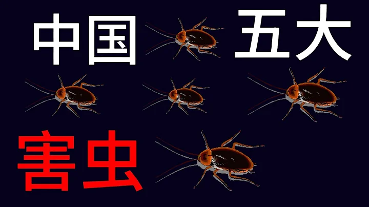 中國五大害蟲是什麼？中國害蟲有哪些？最可怕的五大害蟲 - 天天要聞