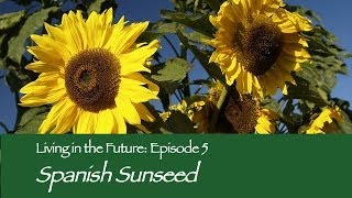 Spanish Sunseed Desert Technology : Living in the Future (Ecovillages) 5