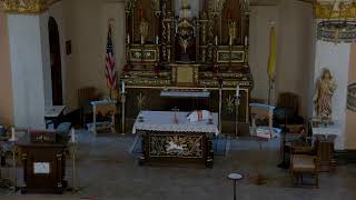 Holy Mass,  May 19, 2026