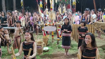 Hòa tấu nhạc cụ tre nứa(dân làng ấm no)..nghe thật cuốn hút..