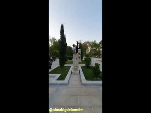 حرکات قدرتی ژیمناستیک و کلستنیکس در پارک ملت 
