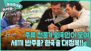 삼시세끼 아니고 상시 반주? 주류 전문가 외국인들이 모여 한국 술 마시는 법을 마스터한다고? l #어서와하이라이트 l #어서와한국은처음이지 l EP.408
