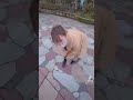 TikTok大人気!adidas姉さん【姉がアホすぎて辛い⠀】