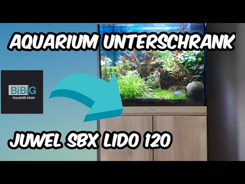 Mein Aquarium Unterschrank | Juwel SBX Lido 120 Review, alles wissenswerte für dich | BiBiG