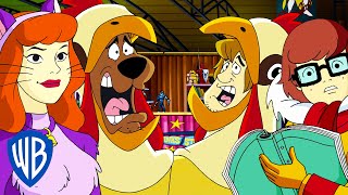 Scooby-Doo! en Français | Scooby-Doo déchire tout! | WB Kids