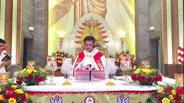 Syro Malabar Holy Mass  @ St. Joseph's Church, Vazhakala  Fr. Vipin Kurisuthara CMI