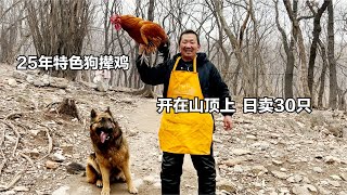 淮北大哥山顶卖炒鸡，人不动手派狗撵，2年公鸡50元1斤，日卖30只