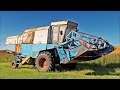 Fortschritt E512 Modernized Oat Harvesting 4K real sound