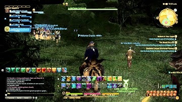 FFXIV ARR Sargatanas BOT Activity!