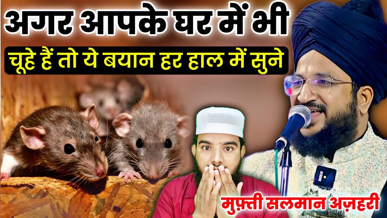 अगर आपके घर में भी चूहे हैं तो || मुफ़्ती सलमान अज़हरी कि ये वीडियो ज़रूर देख लेना