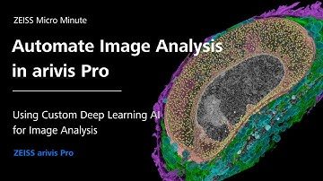 Automate Image Analysis using Pre-Trained Deep Learning AI | arivis Pro| ZMCC Live Demo | Episode 21