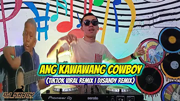 ANG KAWAWANG COWBOY (TikTok Viral Disco Remix) | Dj Sandy Remix