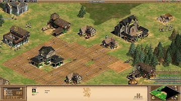 Age of Empires II HD: Edition - random map