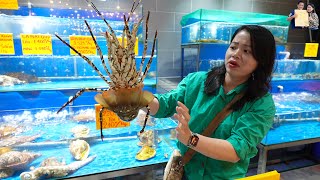 Xuyên Việt cung đường ven Biển tuyệt đẹp ở Bình Định ăn Tôm hùm Bông Hải sản thiên nhiên ở Đà Nẵng