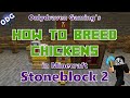 Minecraft - Stoneblock 2 - How to Breed Chickens Using Nesting Pens, Roost and Chicken Breeder