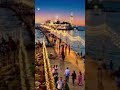 Pairon ka ped Haji Ali ka Hyderabad kavvali Haji Ali ka #hyderabadcity ❤️❤️❤️786 💯