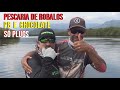 Pescaria de Robalos nos mangues de Bertioga com meu parceiro Chocolate - Muita ação - Só Plugs !!!!!
