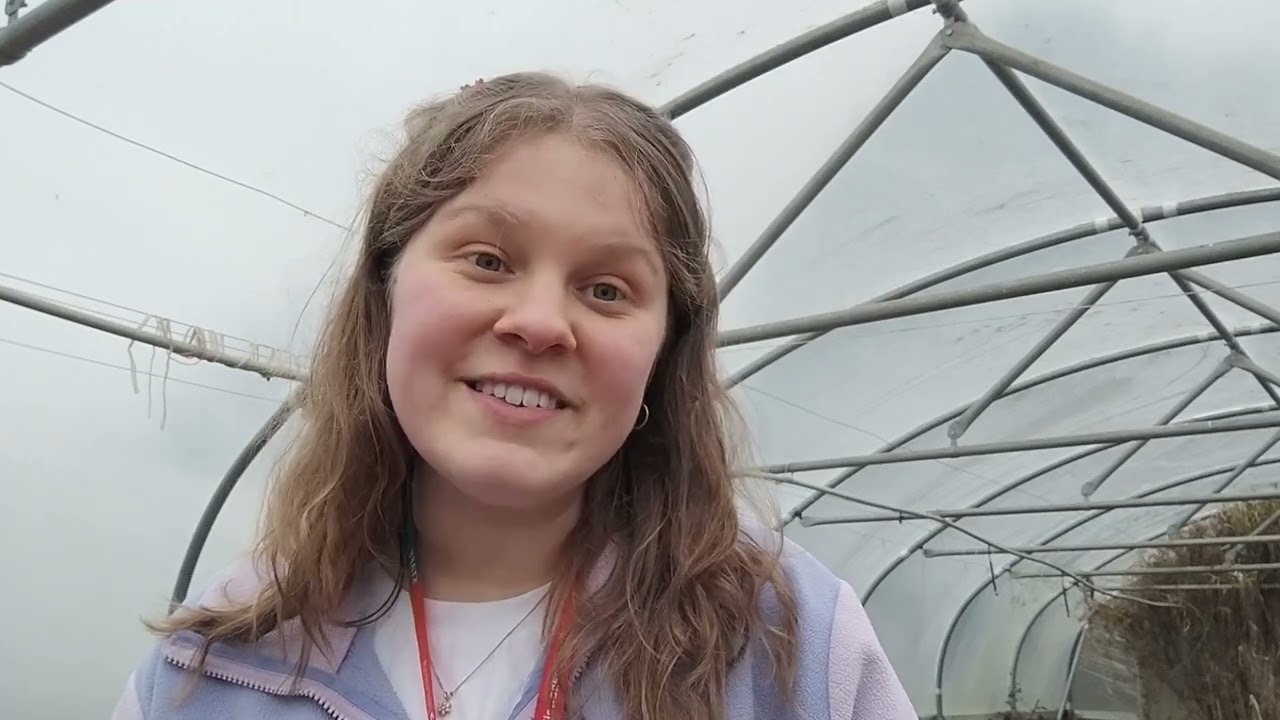 IFA Wormery Project Proposal