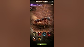 The Ants  Underground Kingdom   Gameplay Android, iOS Part 3   Max Level