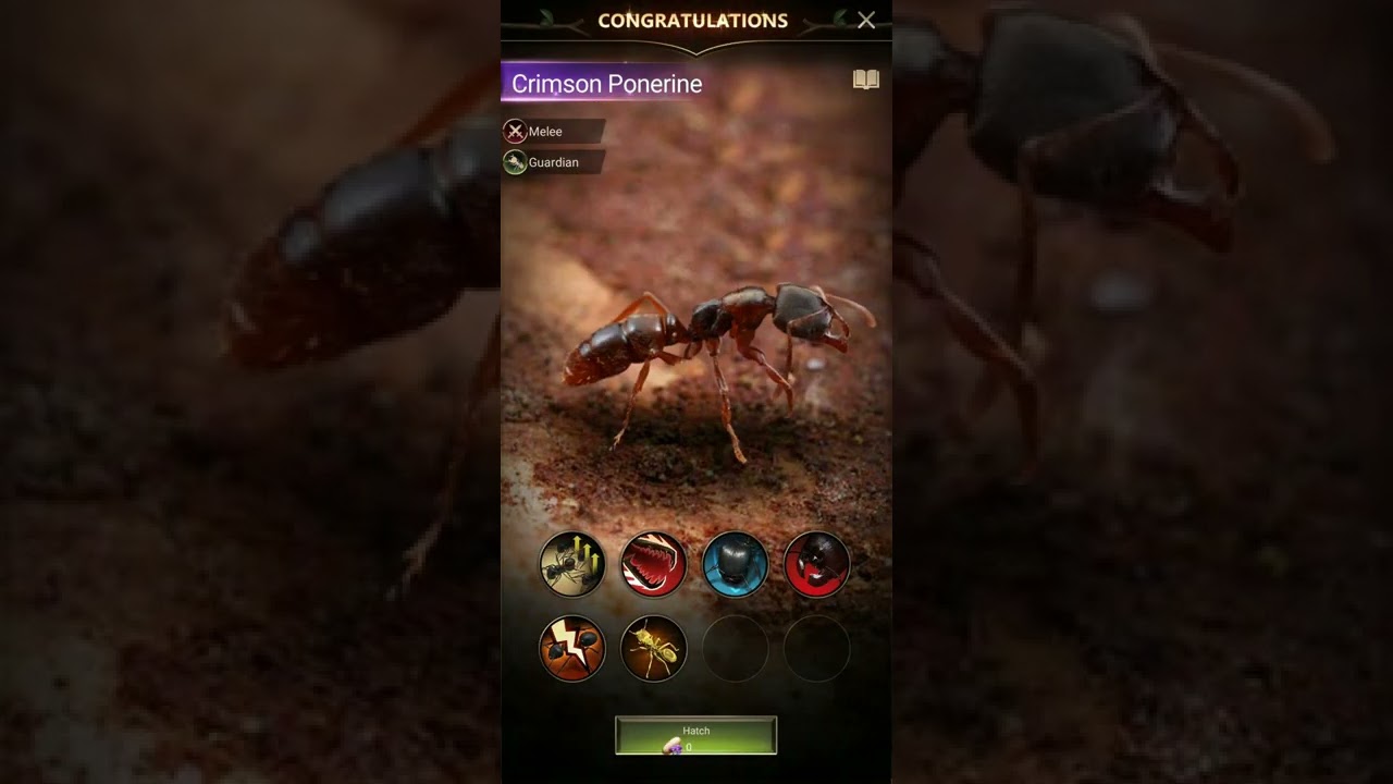 The Ants  Underground Kingdom   Gameplay Android, iOS Part 3   Max Level