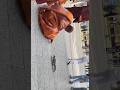 Turn Your Phone Sideways to Watch the Walk for Peace Monks Play with the NYC Squirrels