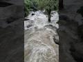 😱😨😱😱😨Today Heavy Water Fall | Heavy rain | Poovaranthode 😨😱😨#nature #exploretheworld #waterfall