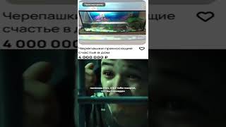 Мам, мам продай квартиру мам🤨#shaker#memes   #csgo #cs2overpass #standoff2